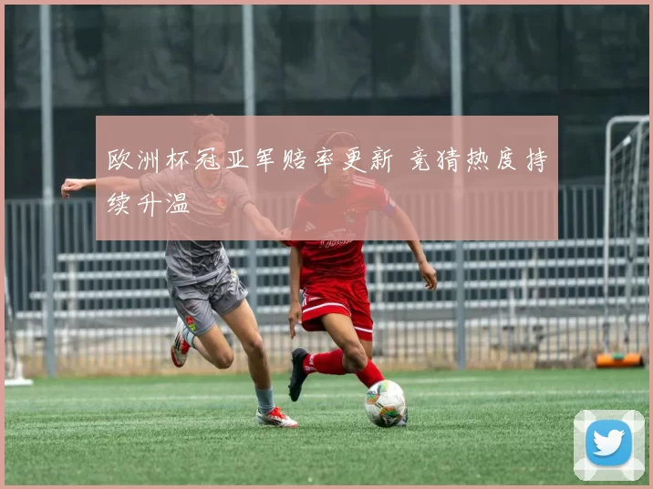 欧洲杯冠亚军赔率更新 竞猜热度持续升温