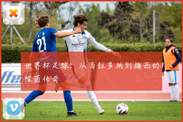 世界杯足球：从马拉多纳到梅西的绿茵传奇