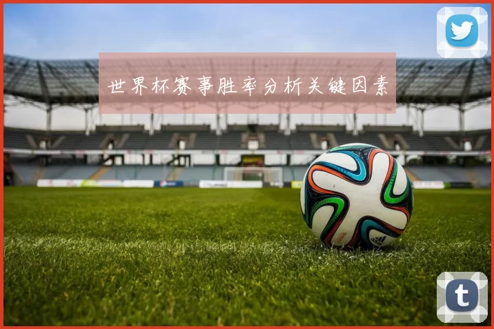 世界杯赛事胜率分析关键因素
