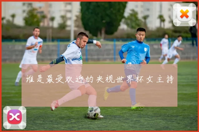 谁是最受欢迎的央视世界杯女主持