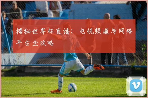 揭秘世界杯直播：电视频道与网络平台全攻略