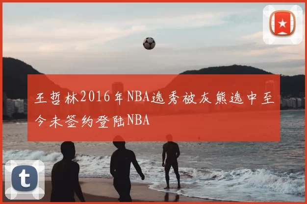王哲林2016年NBA选秀被灰熊选中至今未签约登陆NBA