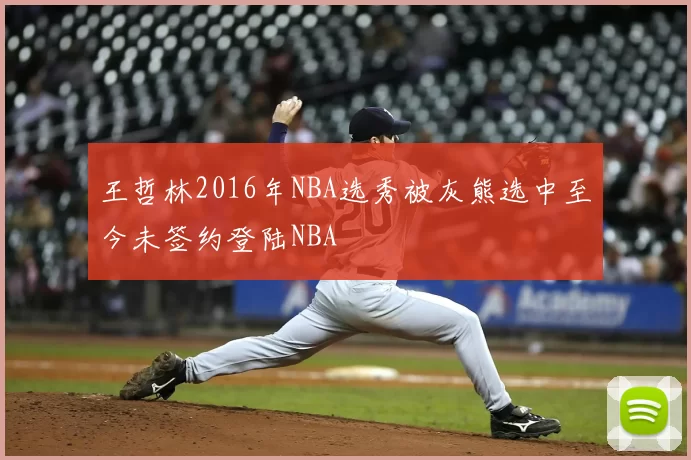 王哲林2016年NBA选秀被灰熊选中至今未签约登陆NBA