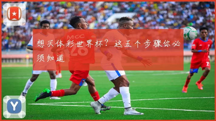 想买体彩世界杯?这五个步骤你必须知道