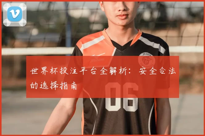 世界杯投注平台全解析:安全合法的选择指南
