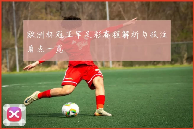 欧洲杯冠亚军足彩赛程解析与投注看点一览
