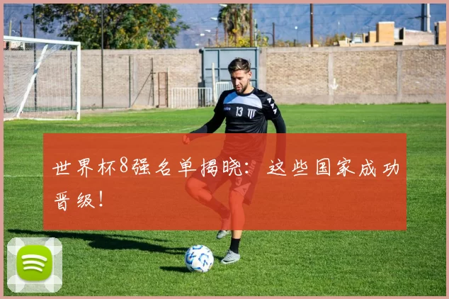 世界杯8强名单揭晓:这些国家成功晋级!