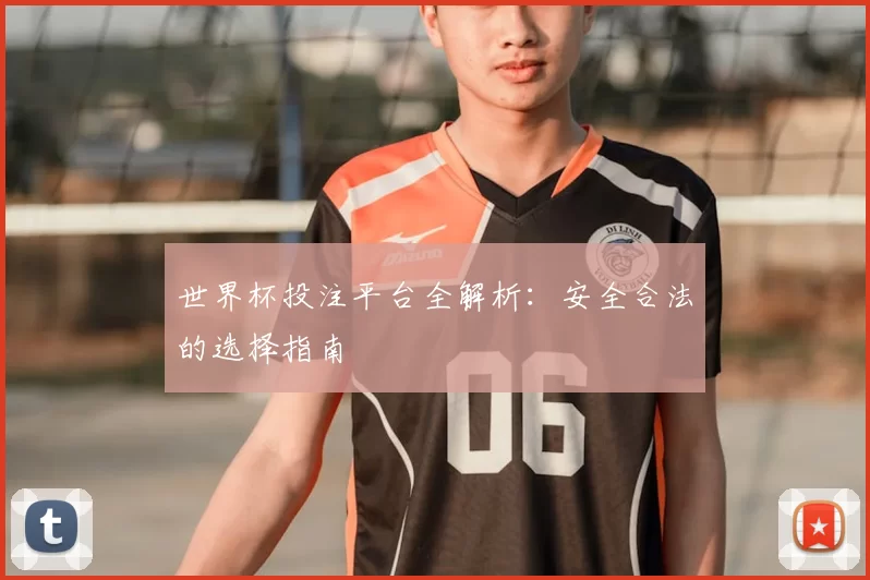 世界杯投注平台全解析：安全合法的选择指南