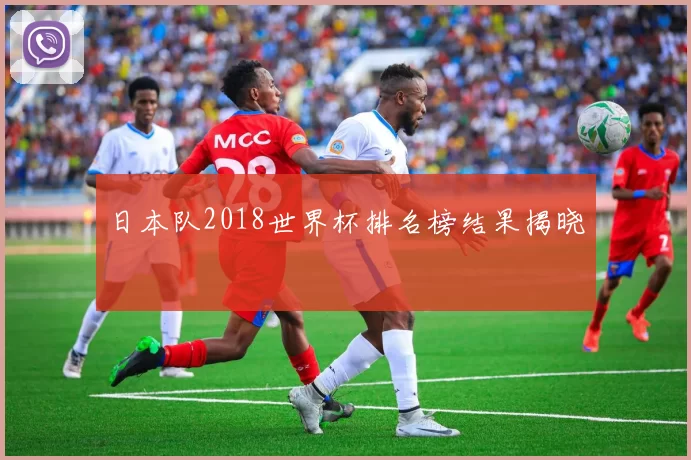 日本队2018世界杯排名榜结果揭晓